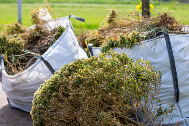 Best Estate Cleanout Services  in Alton, IA
