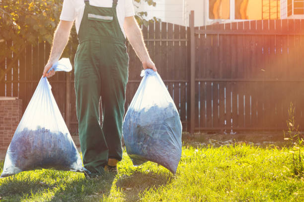 Best Furniture Removal Near Me  in Alton, IA
